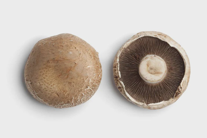 Stuffer mushrooms