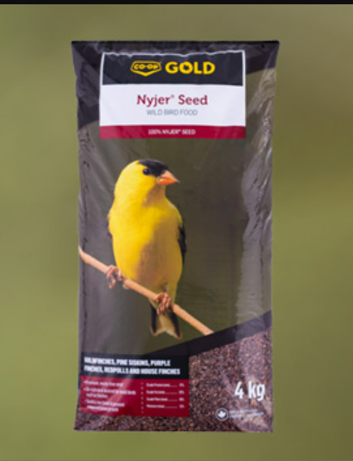 CG Nyjer Wild Bird Seed - 4kg