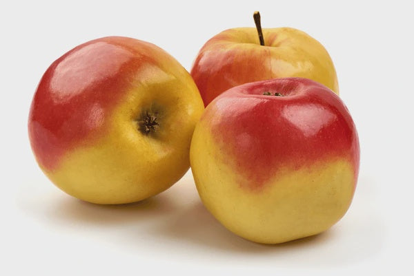 Ambrosia Apples 2lb