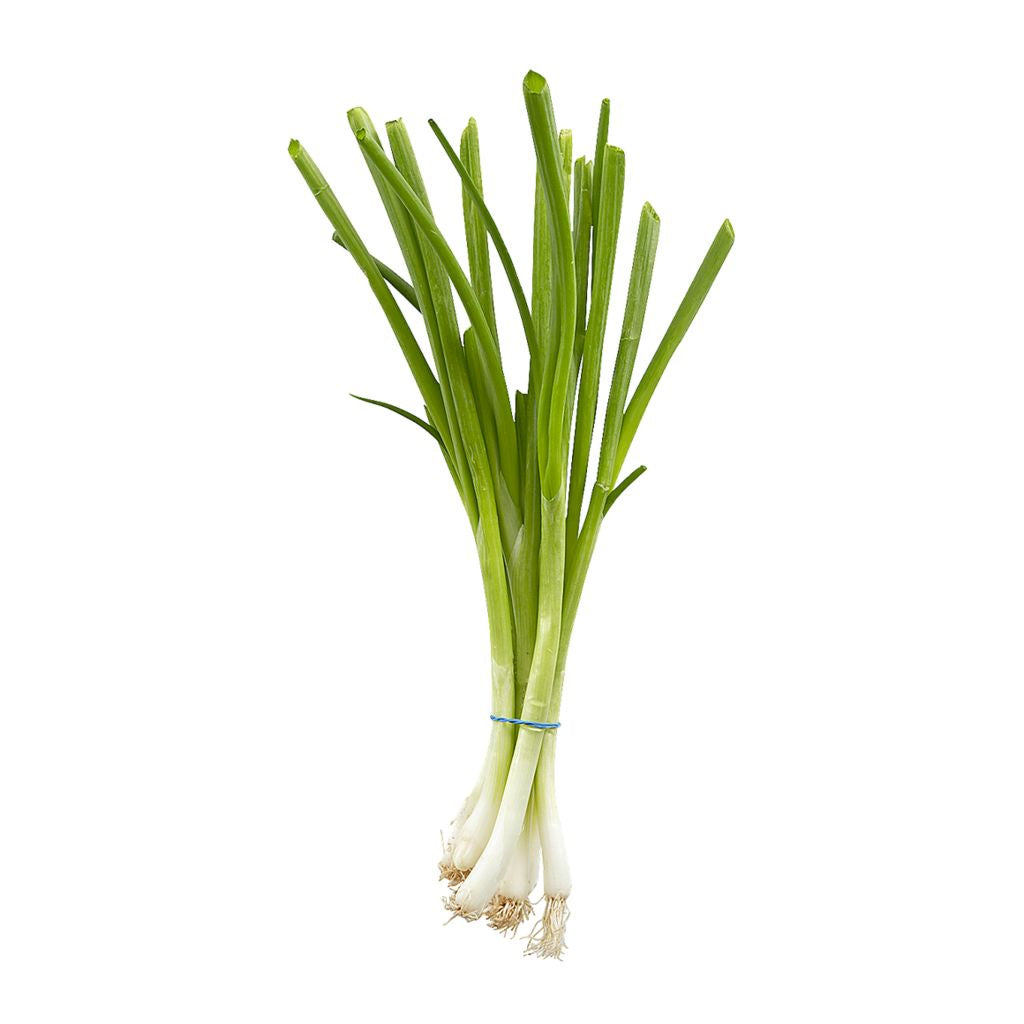 Onion, Green - 1 Bunch