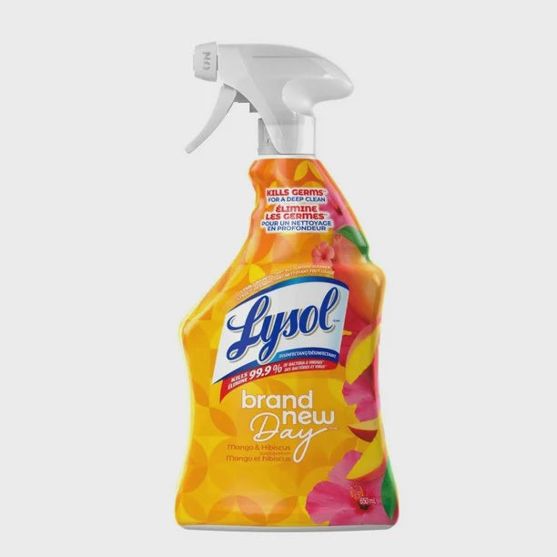 Lysol Brand New Day Mango Hibiscus All Purpose Cleaner - 650mL