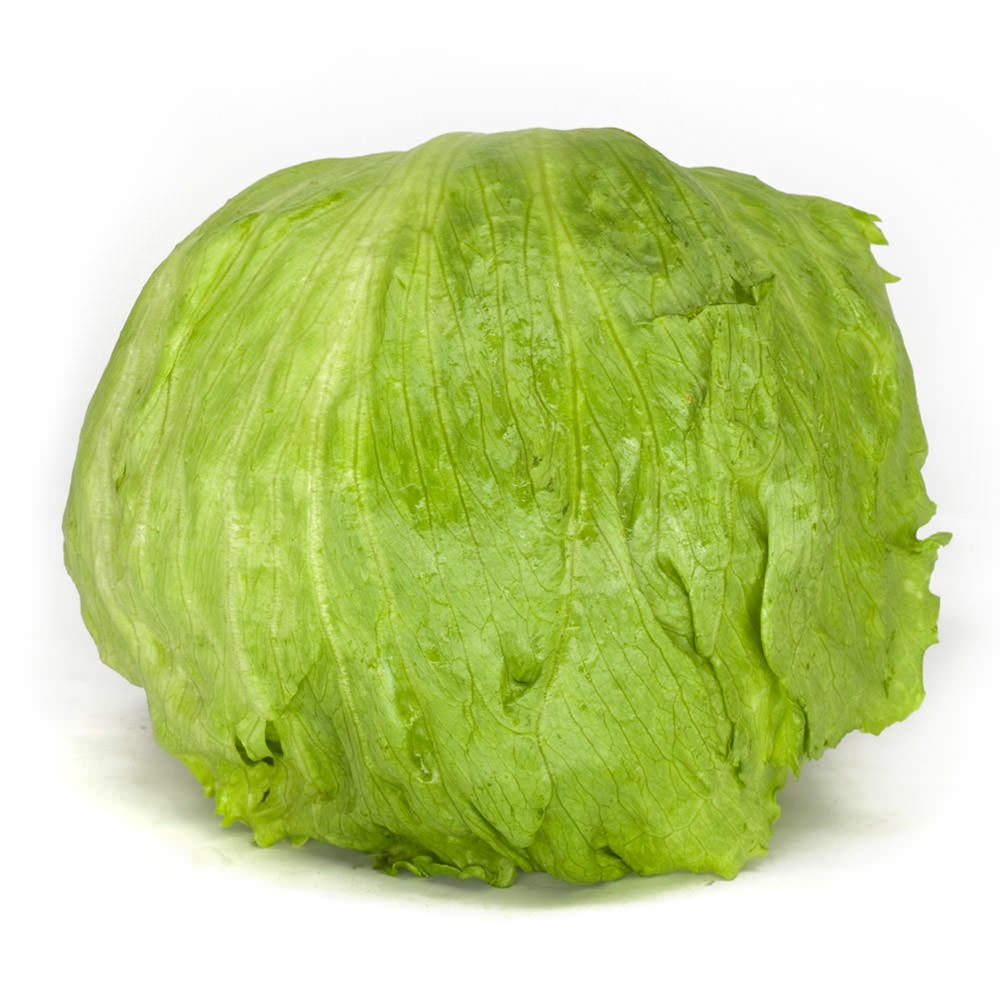 Lettuce, Iceberg