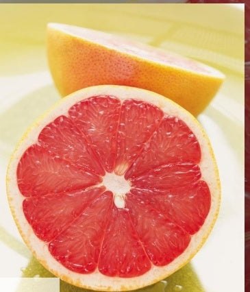 Grapefruit, Red x 1