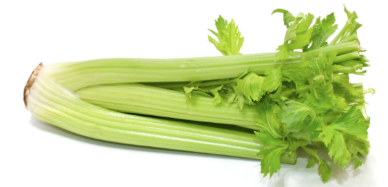 Celery