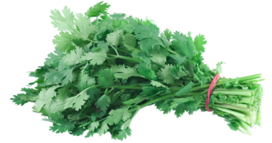 Cilantro - 1 bunch