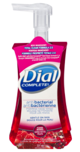 Dial Antibacterial Power Berries-Foaming Hand Wash 221 ml