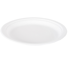 Royal Chinet Disposable 10" Plates - 125ct