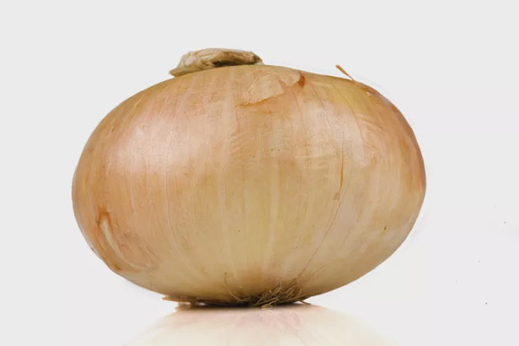 Onion, Sweet