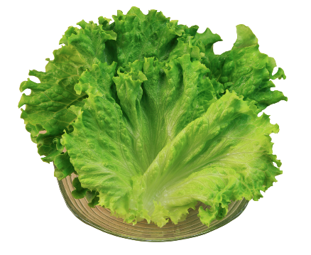 Lettuce, Single Cut Green Leaf - 198g