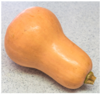 Squash, Butternut - Small